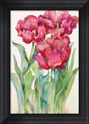Framed Cherry Red Tulip Print