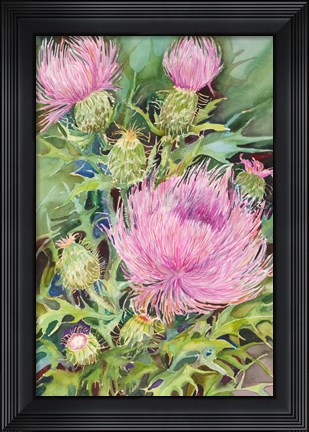 Framed Thistles Print