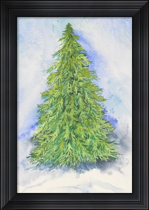 Framed Evergreen Tree Print