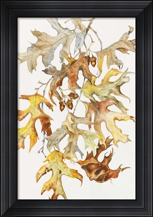 Framed Rust Colored Oak Leaves Print
