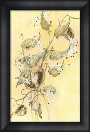 Framed Milkweed Print
