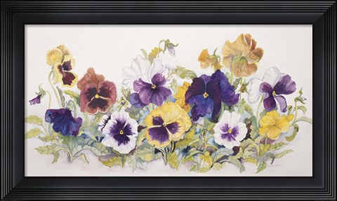 Framed Pansies&#39; Faces Print