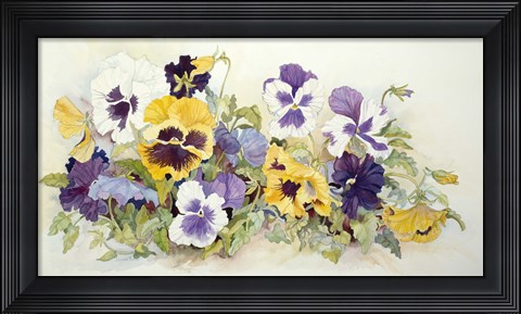 Framed Pansies In Yellow- Purple Print