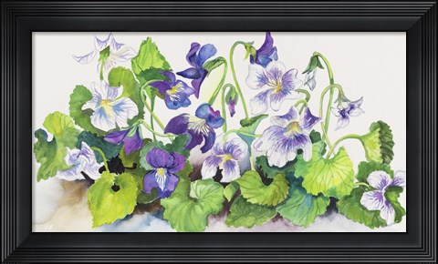 Framed Violets Print