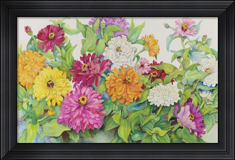 Framed Festive Zinnias Print