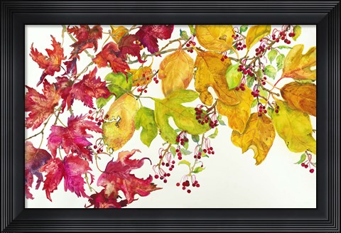 Framed Fall Color Print