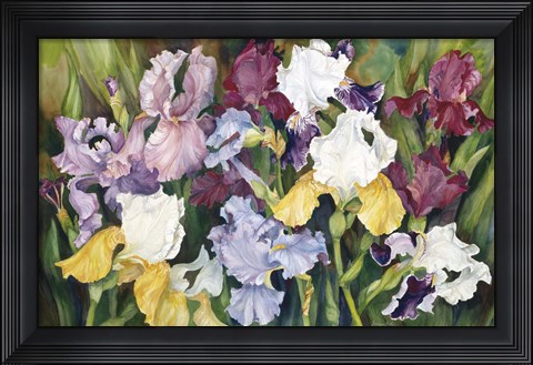 Framed Multi Colored Field Of Iris Print