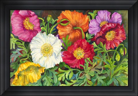 Framed Iceland Poppies Print