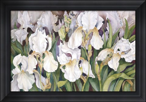 Framed Field Of Iris Print