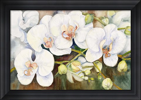 Framed Stem Of Orchids Print