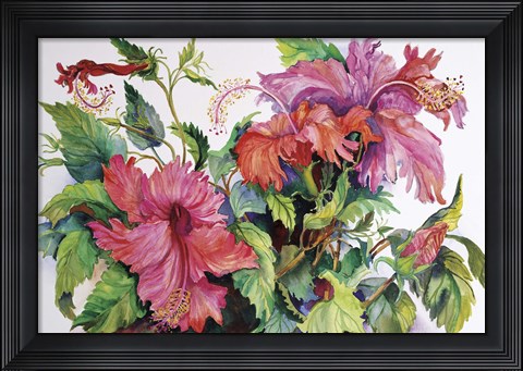 Framed Hibiscus Print