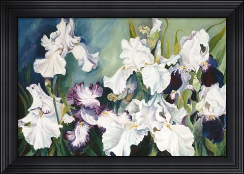 Framed Plum And White Iris Print
