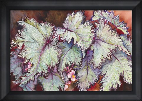 Framed Begonia Leaves Print
