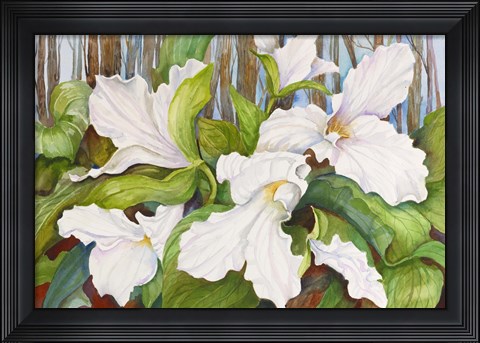 Framed Woodland Trillium Print
