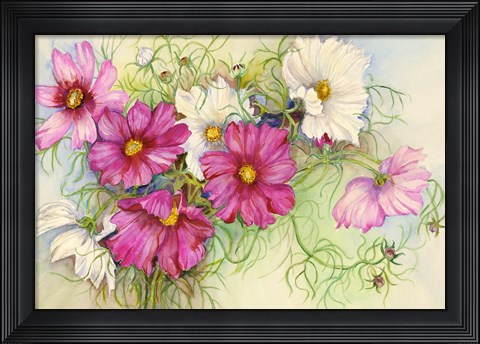 Framed Pink and White Cosmos Print
