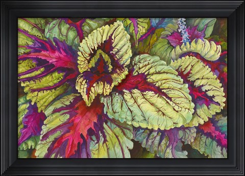 Framed Coleus Print