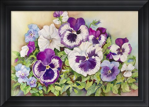 Framed Pansy Cluster Print