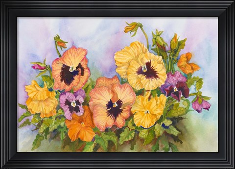 Framed Pansies in a Blue Sky Print