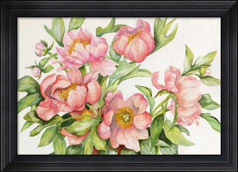 Framed Peony Spray Print