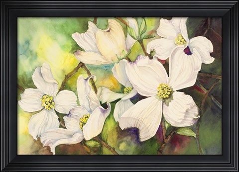 Framed White Dogwood Print
