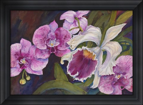 Framed Orchid Print