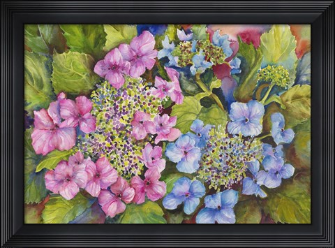 Framed Lacy Hydrangea Print