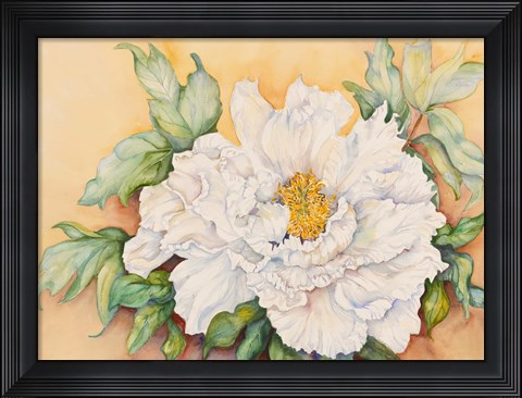 Framed Peony Study Print