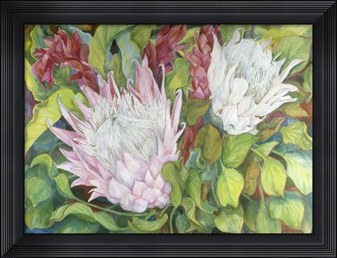 Framed Protea And Red Ginger Print