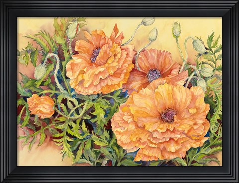 Framed Double Poppies Print