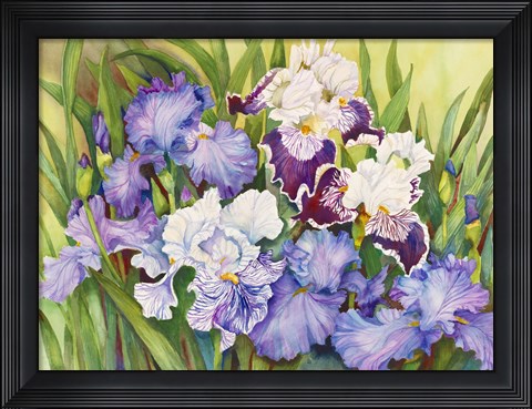 Framed Irises in Shades of Lavender Print