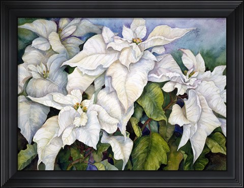 Framed White Poinsettia Print