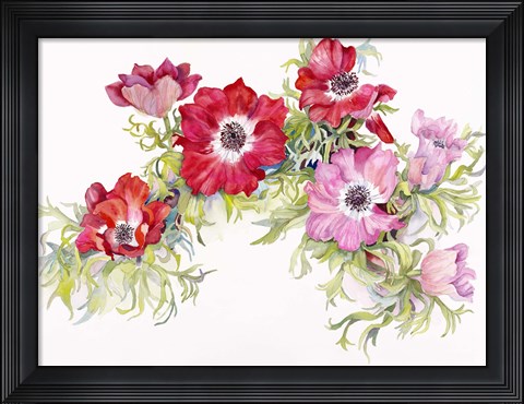 Framed Red Anemonies Print
