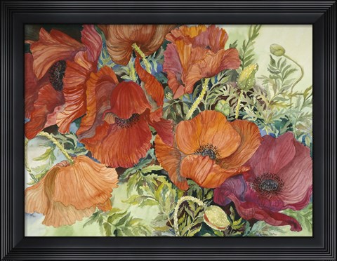 Framed Orange Poppies Print