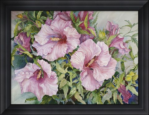 Framed Pink Hibiscus Print