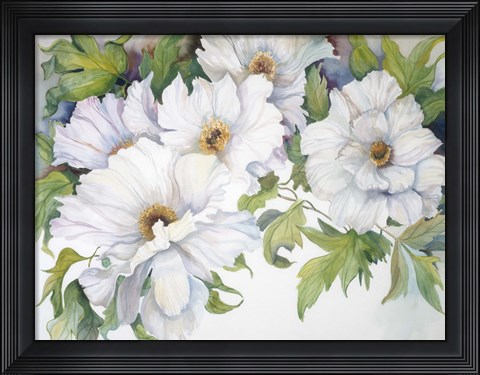 Framed White Peonies Print