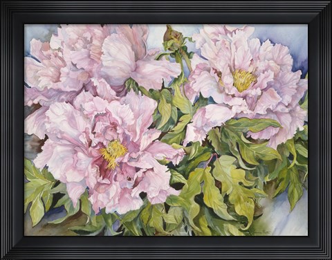Framed Peonies Print