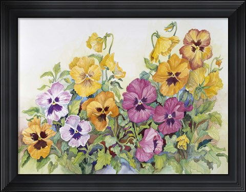 Framed Amber Pansies Print