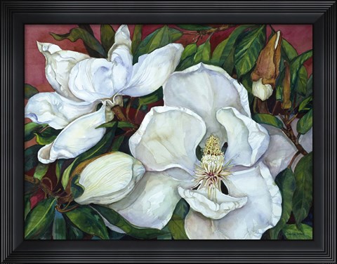 Framed Magnolias Print