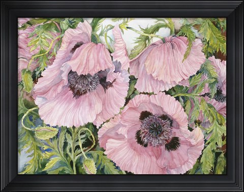 Framed Pink Poppies Print