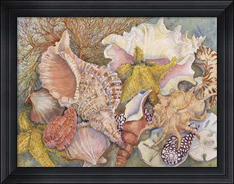 Framed Treasures Of The Sea Print