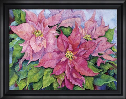 Framed Pink Poinsettia Print