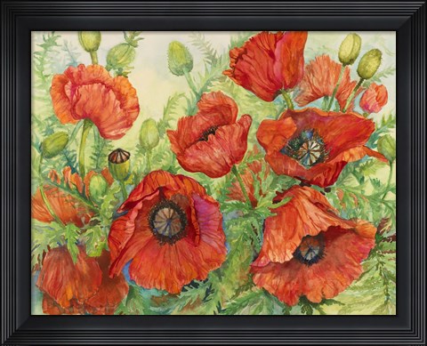 Framed Poppies at their Peak Print