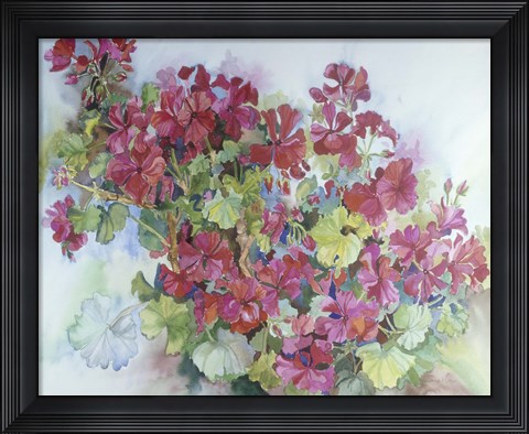 Framed Geraniums Reaching For The Sky Print
