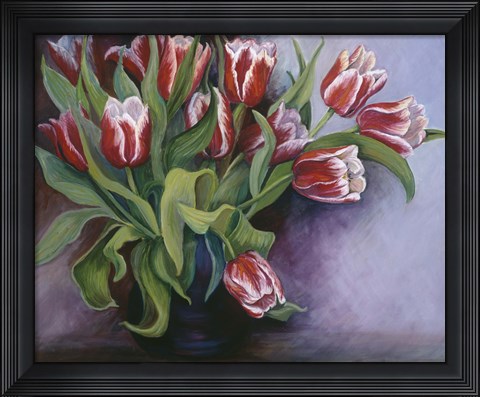 Framed White Tipped Red Tulips Print