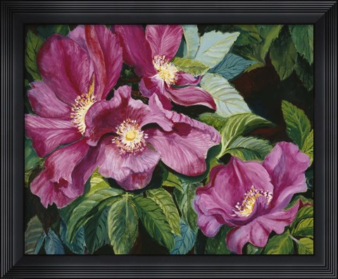 Framed Wild Red Roses Print