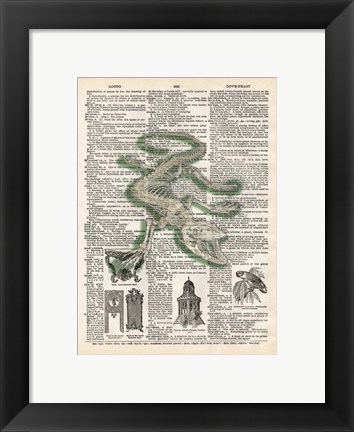 Framed Alligator Print
