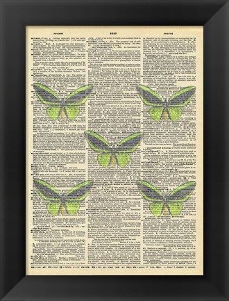 Framed Secret Butterfly II Print