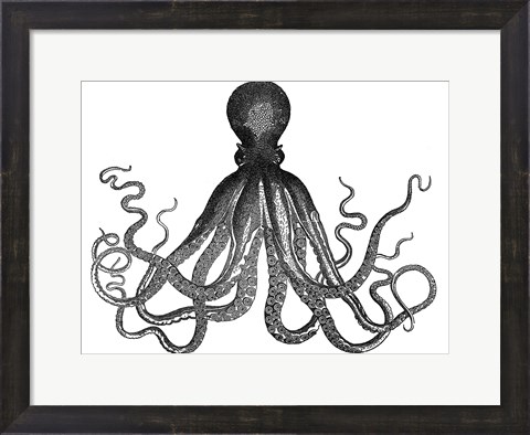 Framed Octopus Vintage Print