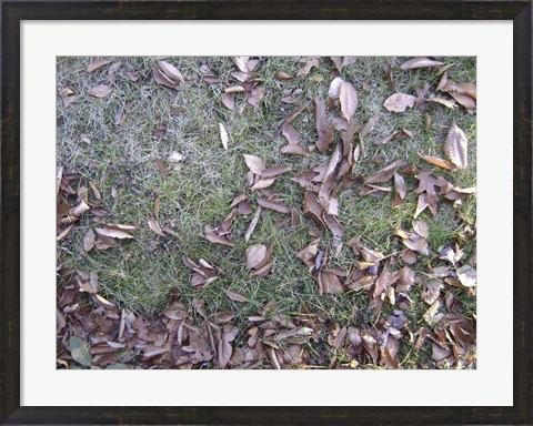 Framed Grass &amp; Leaves Camo Print