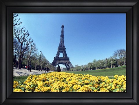 Framed Eiffel Tower, Paris, France Print